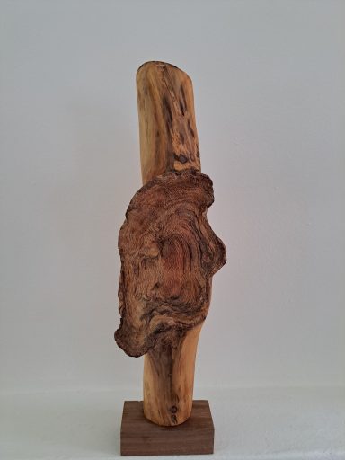 Knoest 40 Euro VERKOCHT Houten sculptuur met organische vormen en een speelse afwerking, geplaatst op een voet.