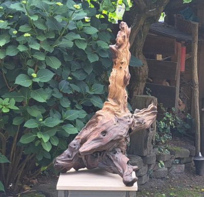 Hondenkop 250 Euro VERKOCHT Een organisch gevormd houten sculptuur, geplaatst tegen een achtergrond van groene planten.